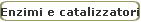 Enzimi e catalizzatori