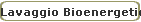 Lavaggio Bioenergetico