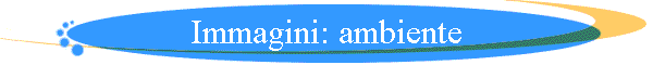Immagini: ambiente
