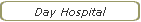 Day Hospital