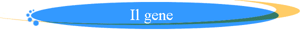 Il gene